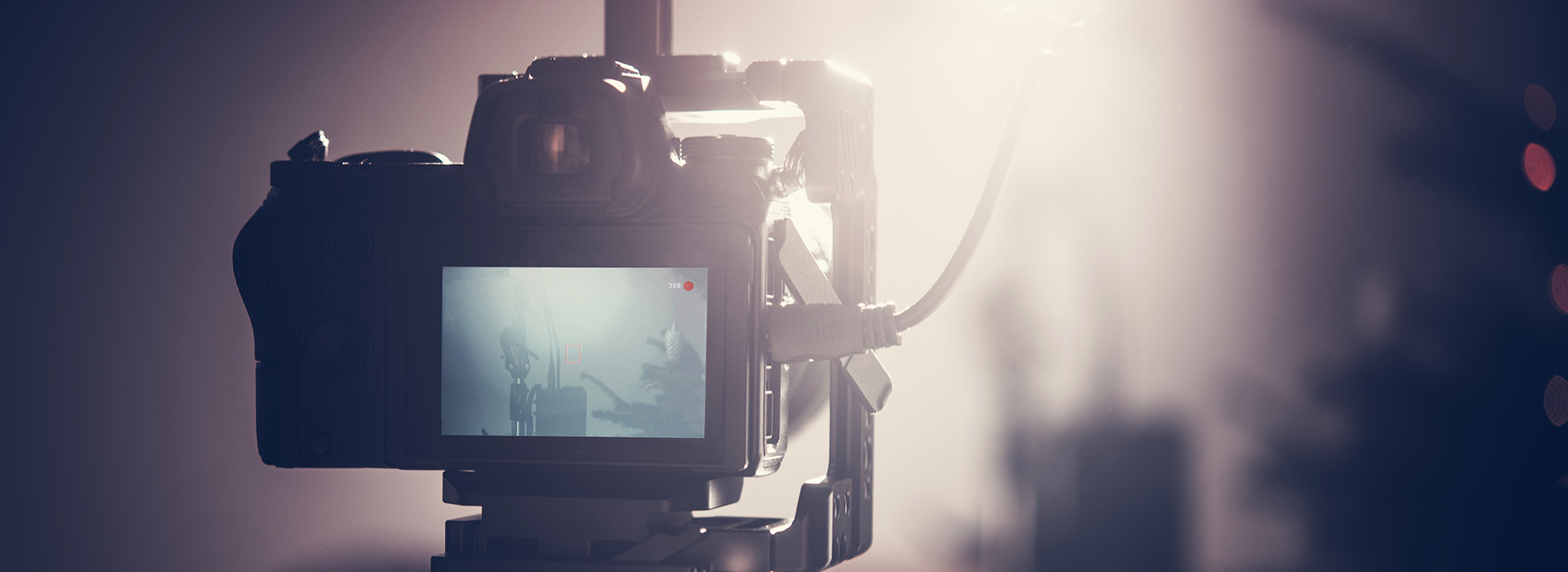 Bannerbild
