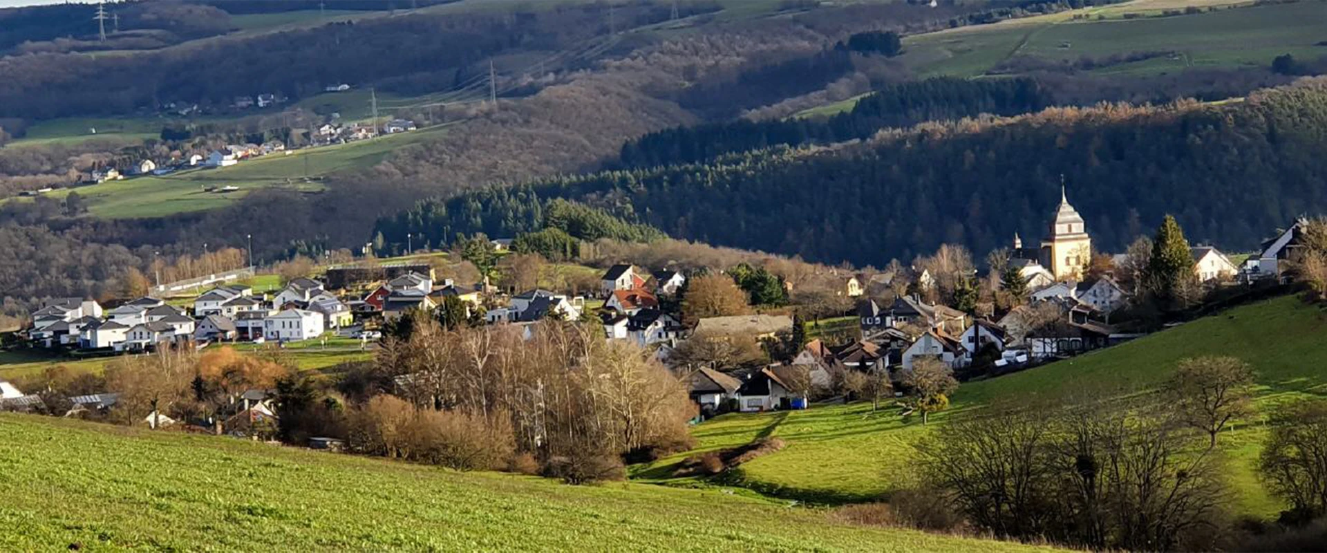Bannerbild