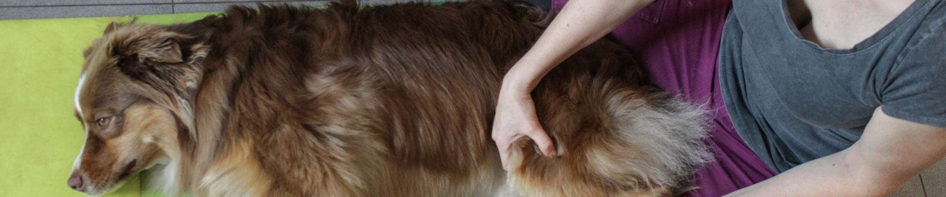 Bannerbild