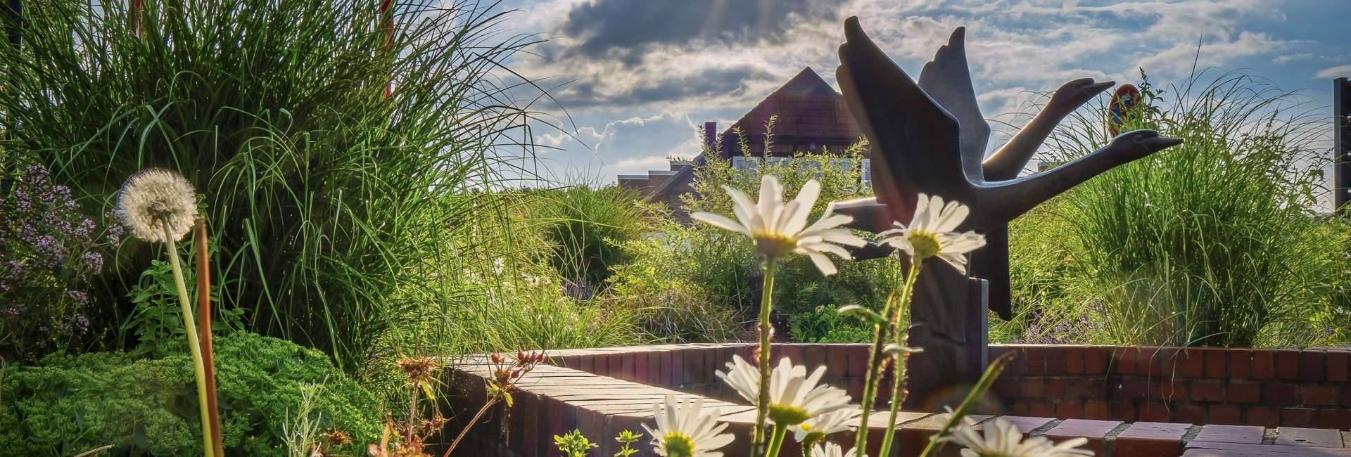 Bannerbild