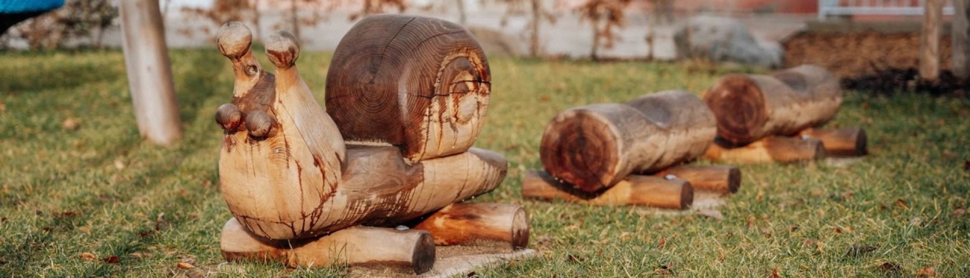Bannerbild