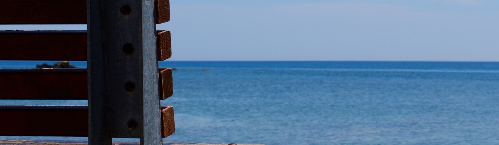 Bannerbild