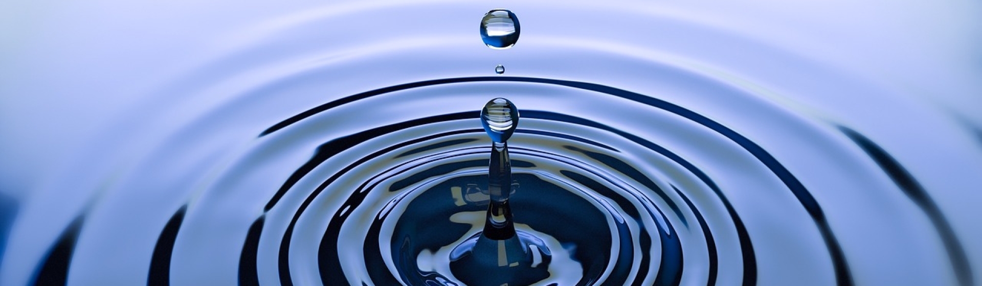 Bannerbild