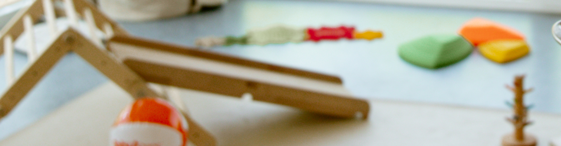 Bannerbild