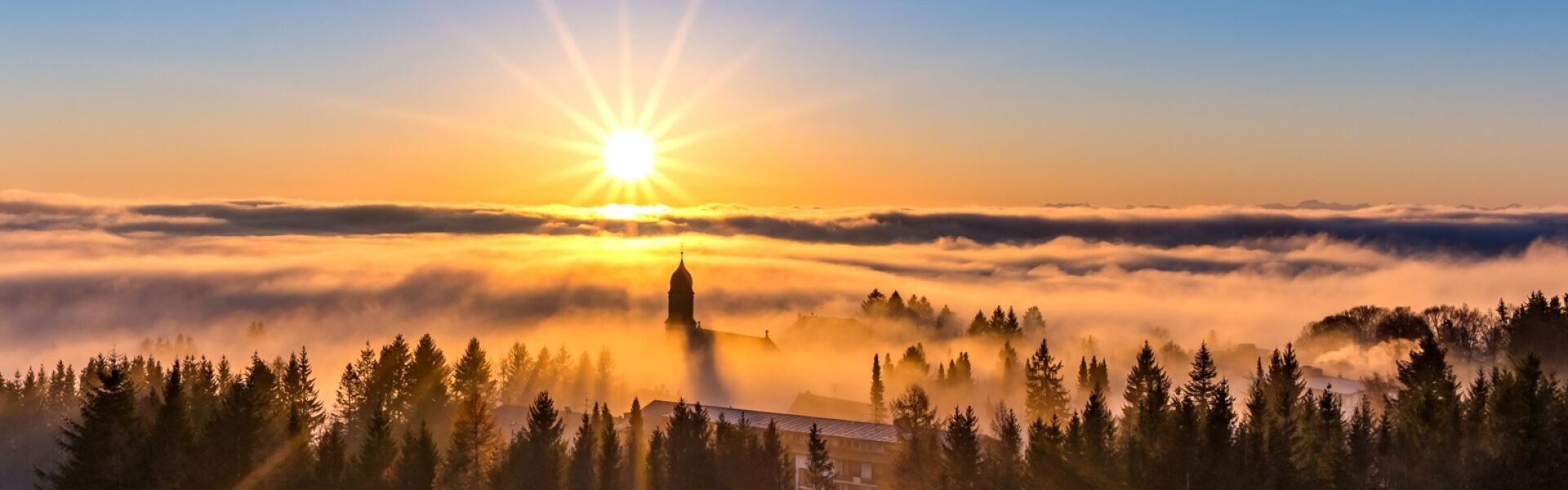 Bannerbild