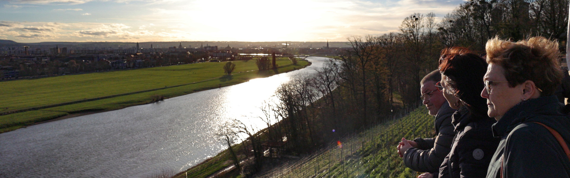 Bannerbild