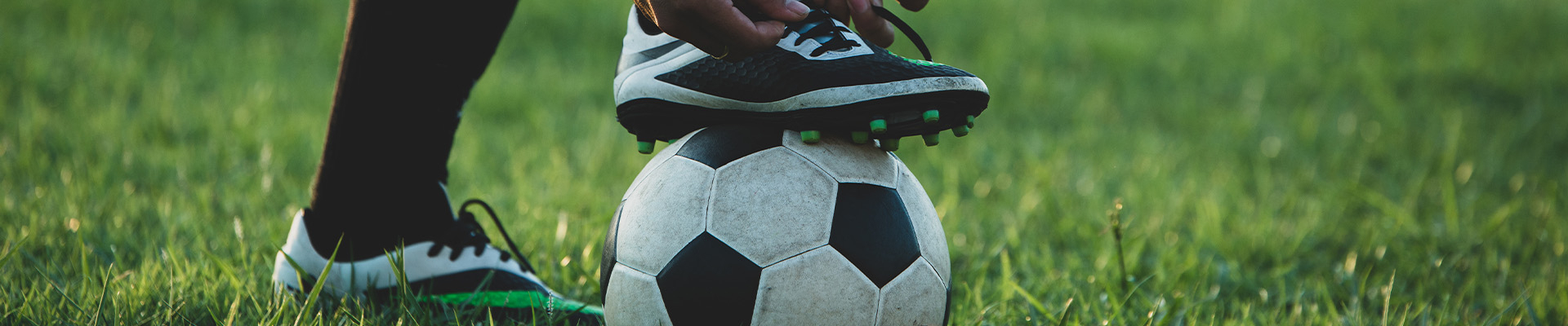 Bannerbild