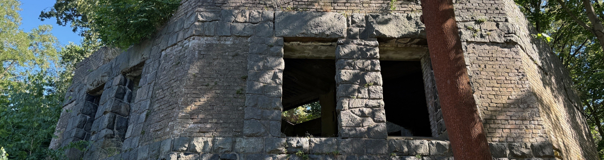 Bannerbild