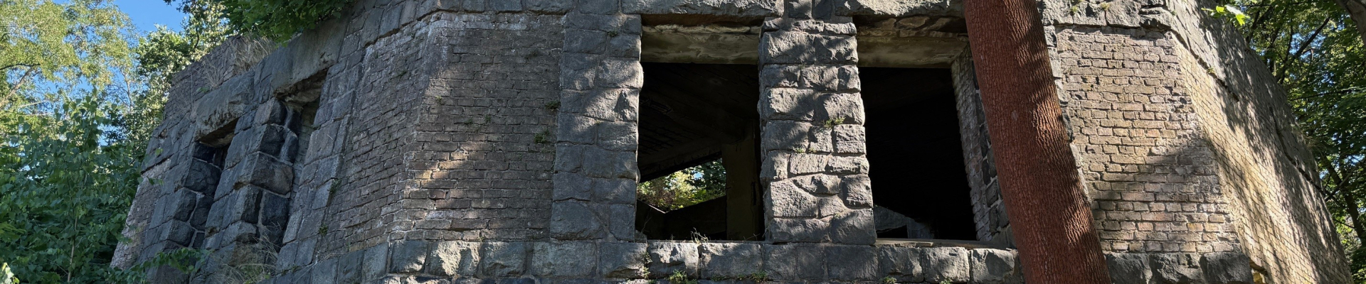 Bannerbild