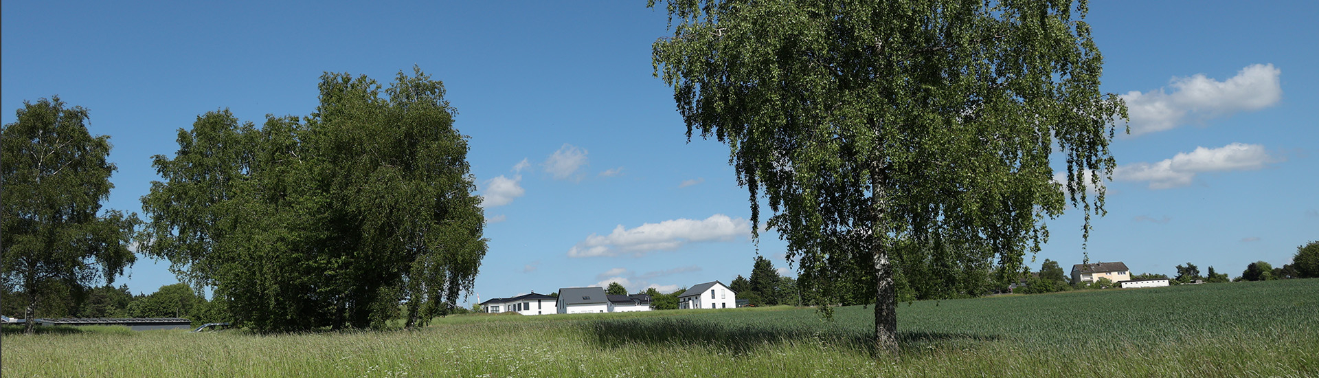 Bannerbild