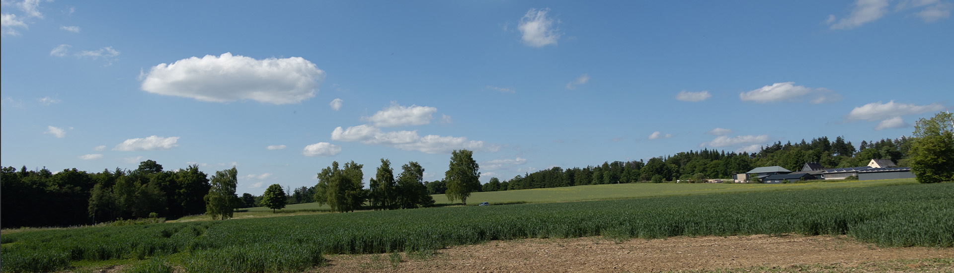 Bannerbild