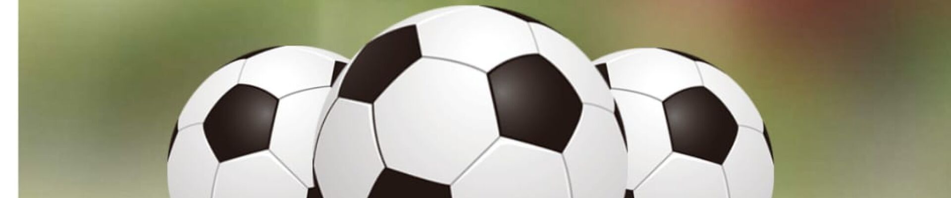 Bannerbild