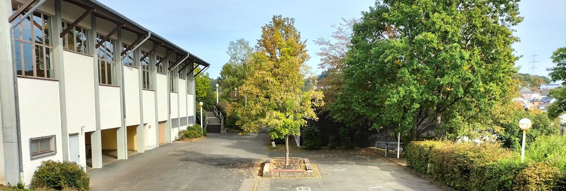 Bannerbild