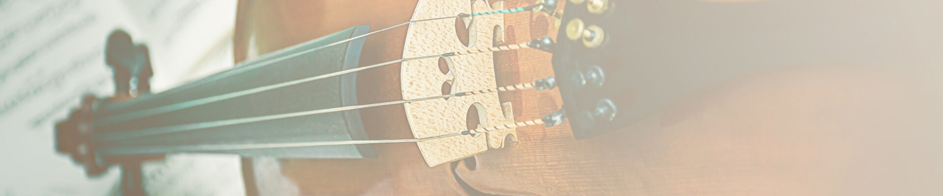 Bannerbild