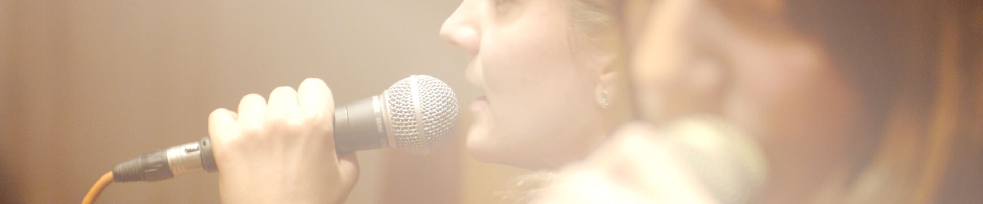 Bannerbild