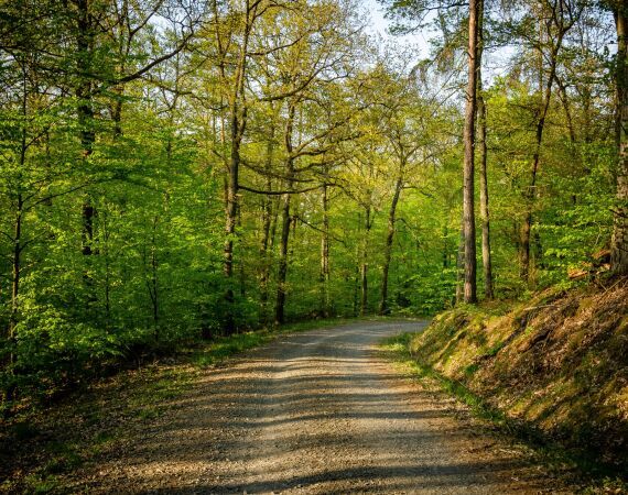 Wanderweg