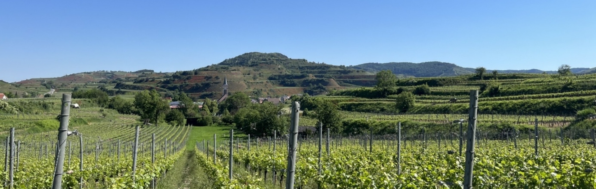 Landschaft