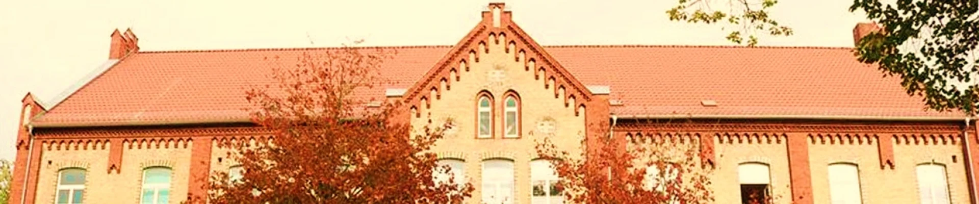 Bannerbild