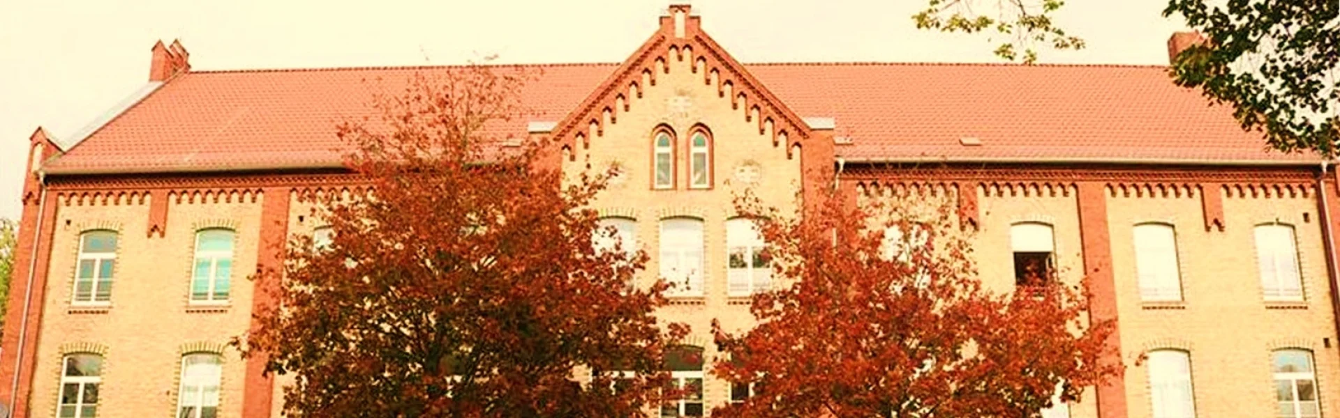 Bannerbild