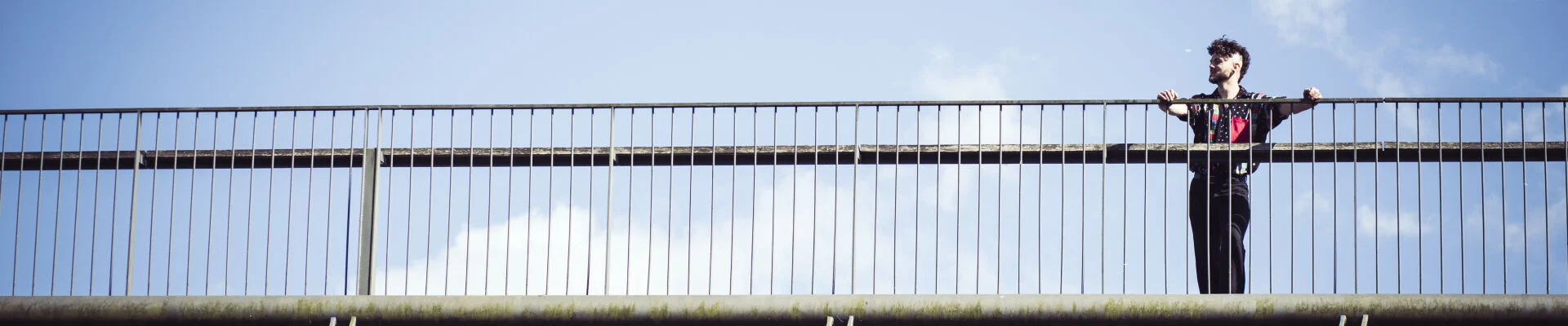 Bannerbild