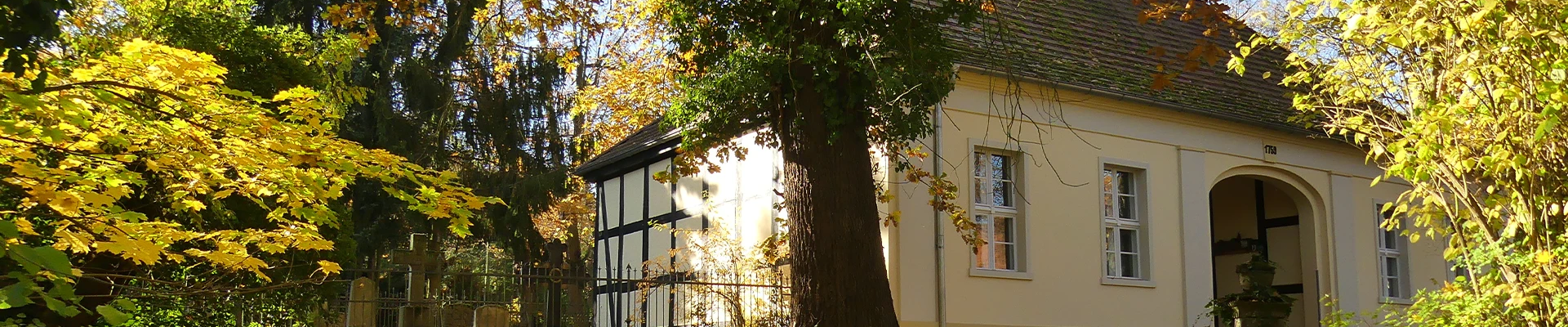 Bannerbild