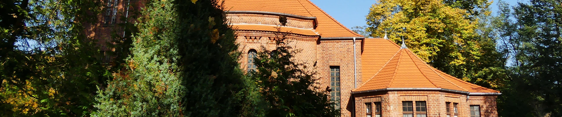 Bannerbild