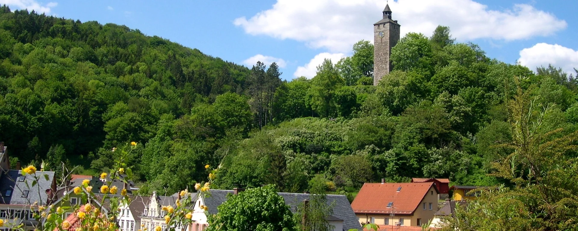 Bannerbild