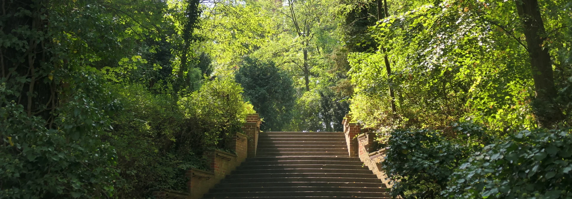 Bannerbild