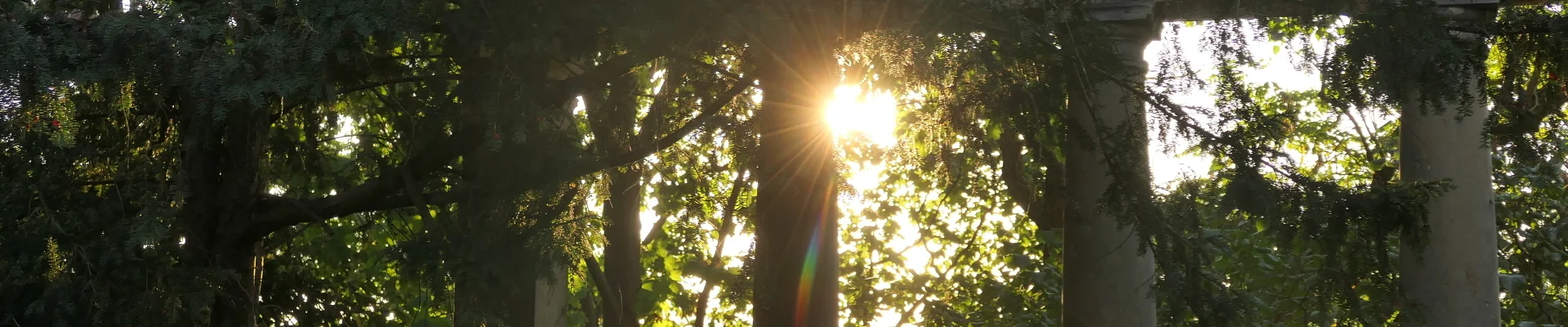 Bannerbild