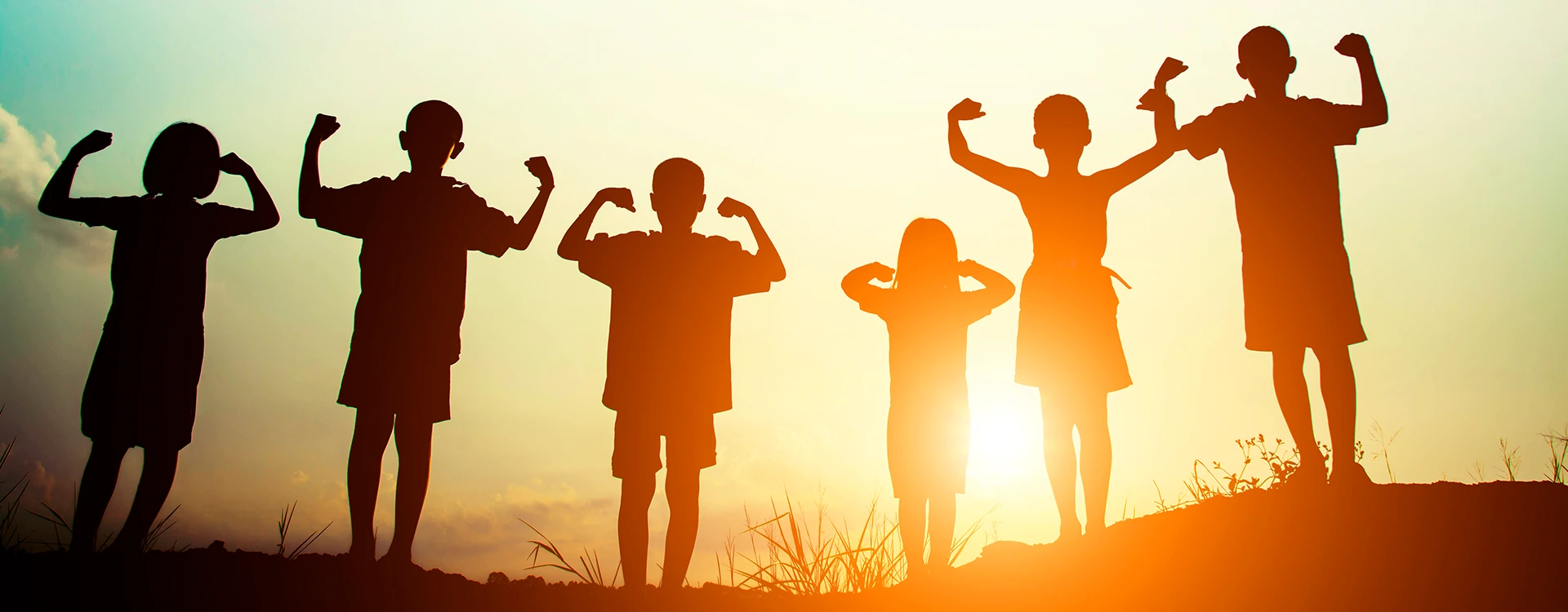Bannerbild