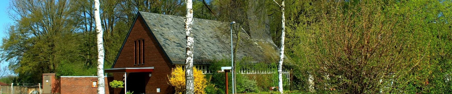 Bannerbild