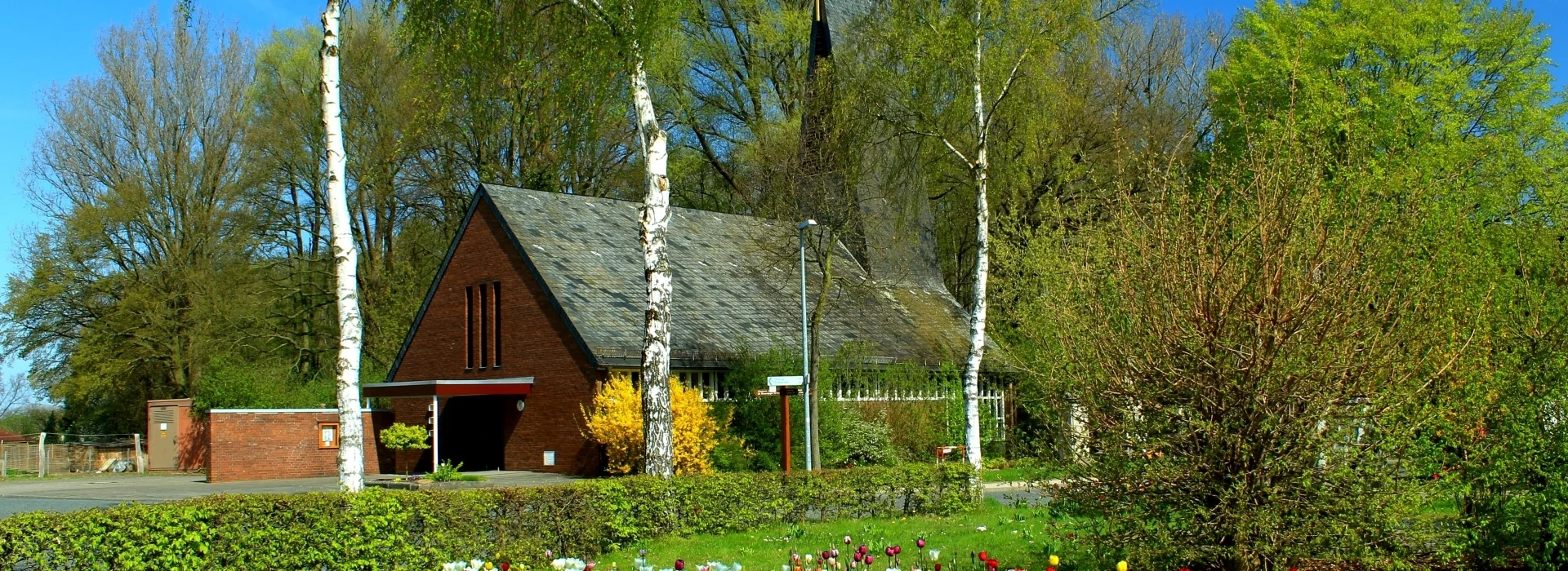 Bannerbild