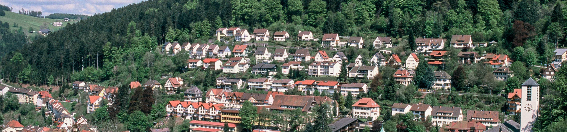 Bannerbild