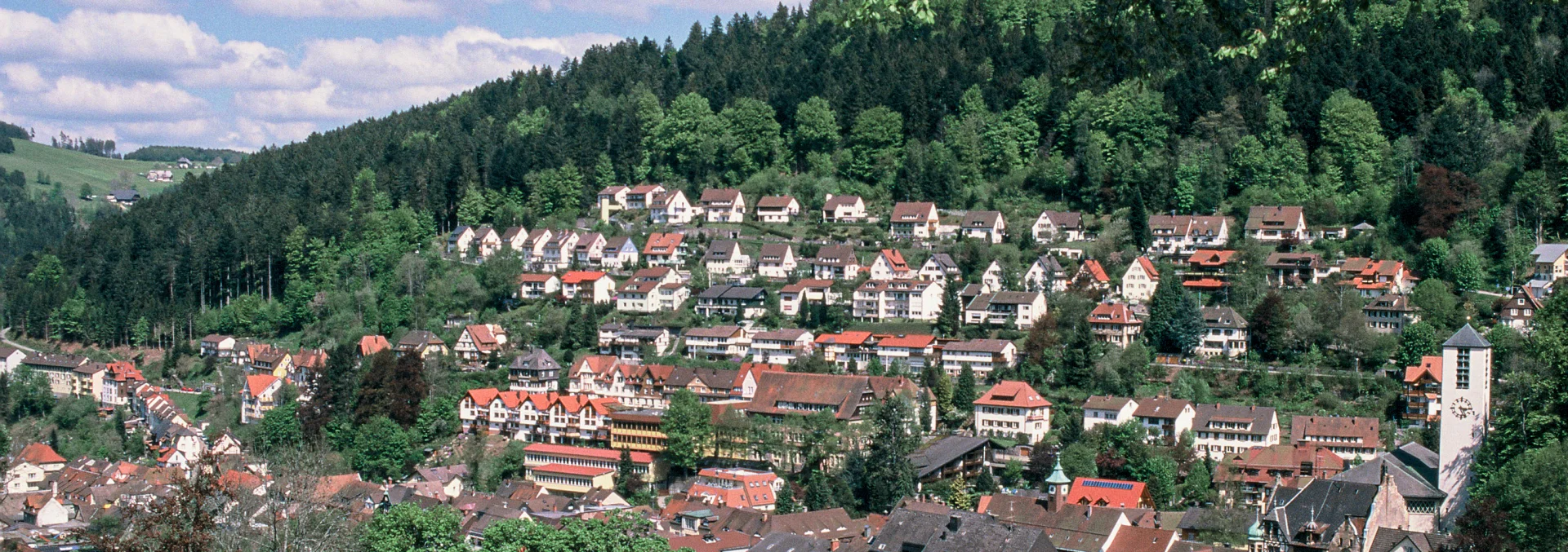 Bannerbild