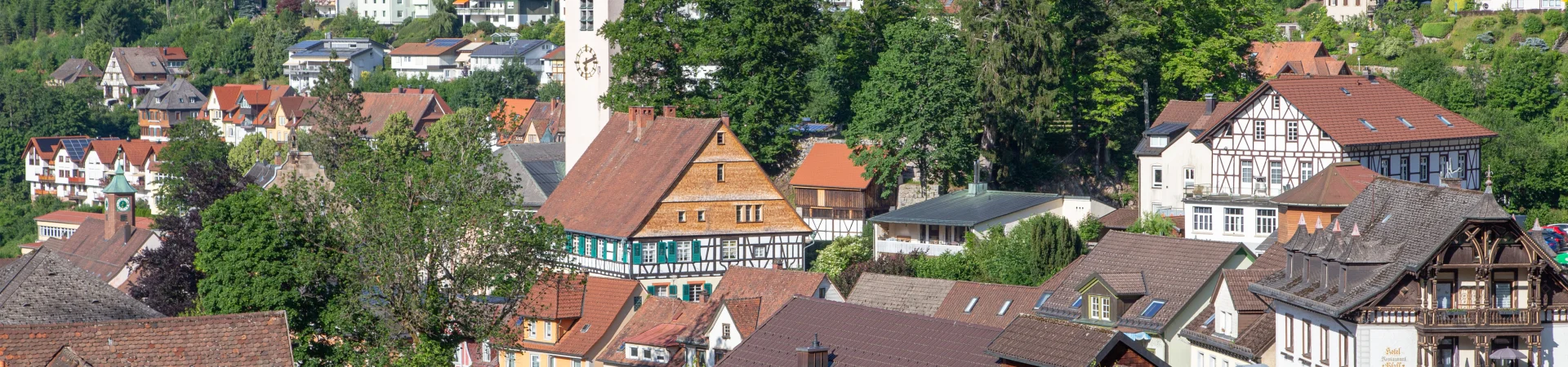 Bannerbild