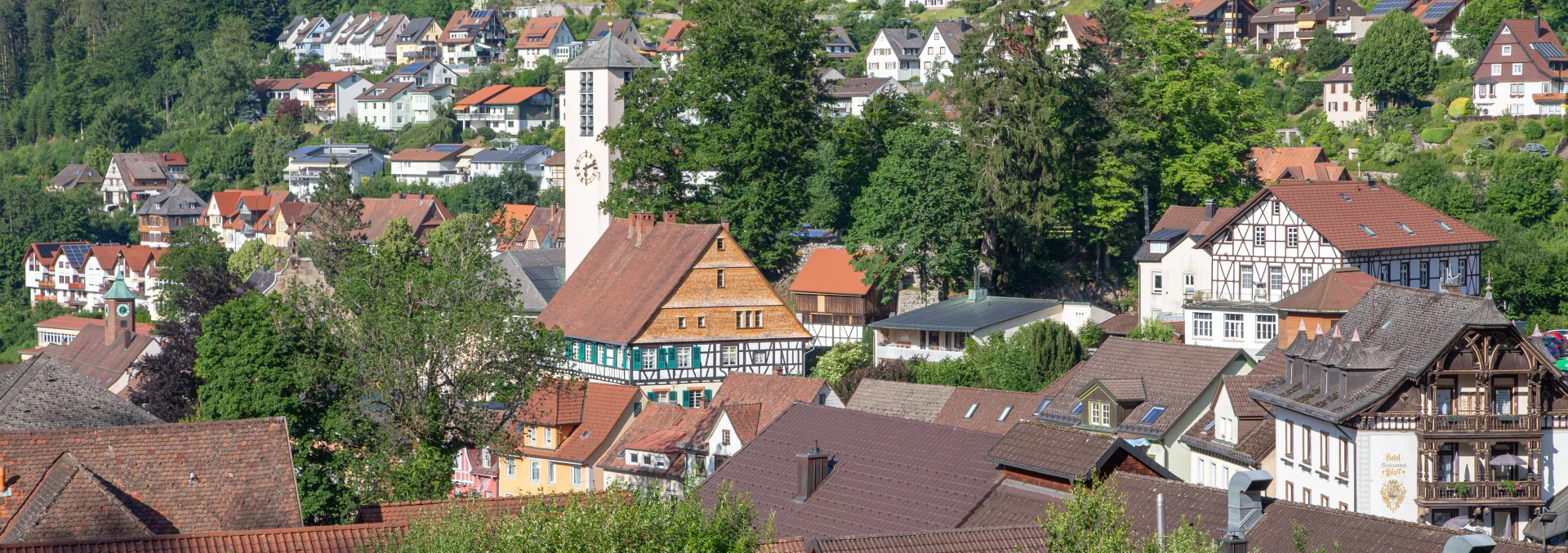 Bannerbild