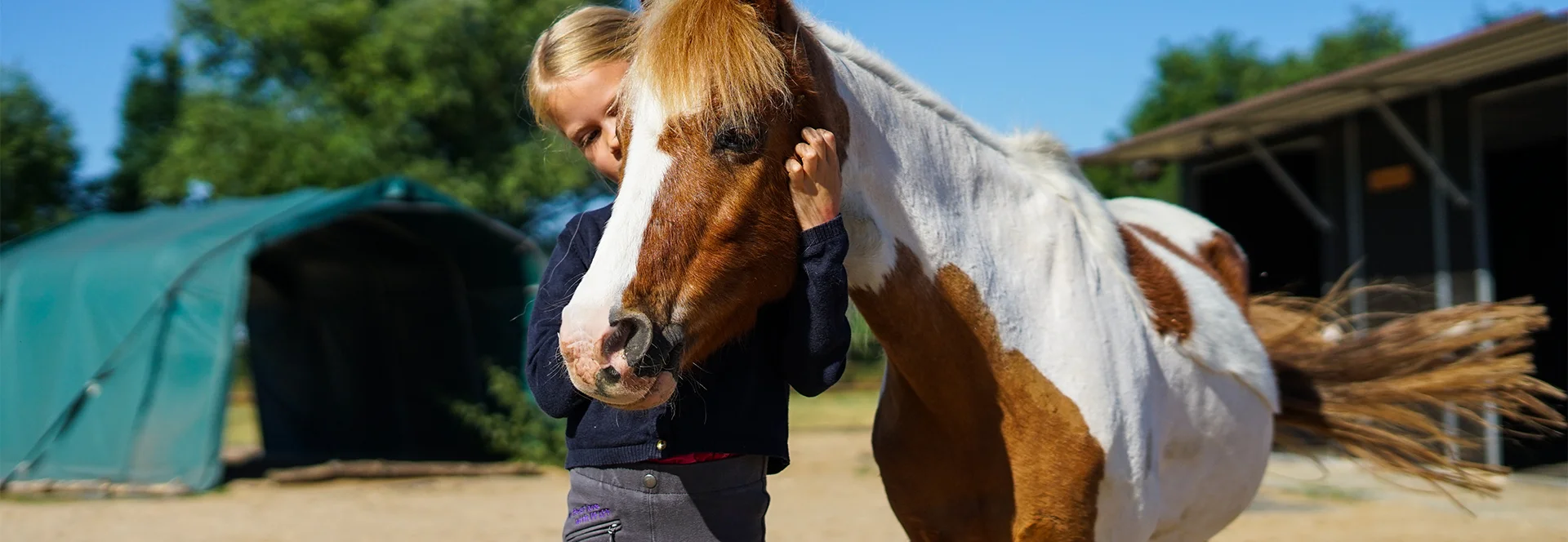 Bannerbild