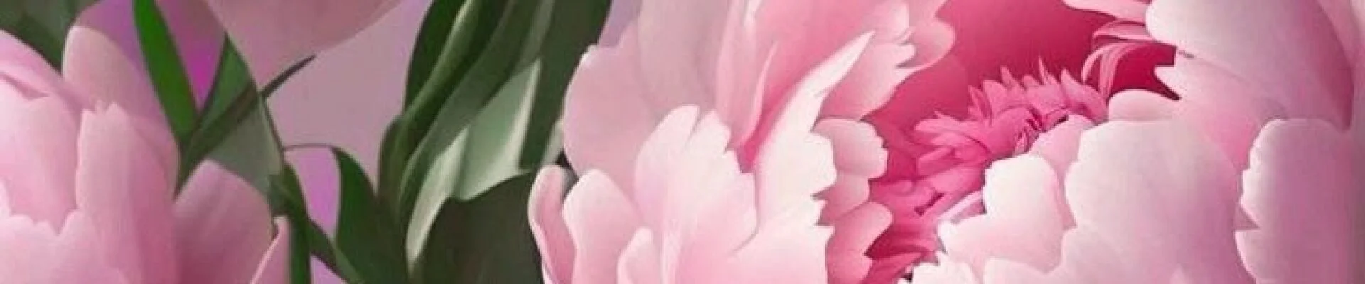 Bannerbild