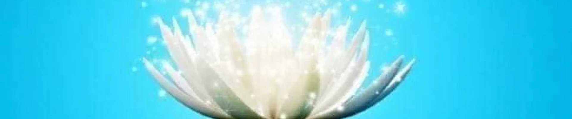 Bannerbild
