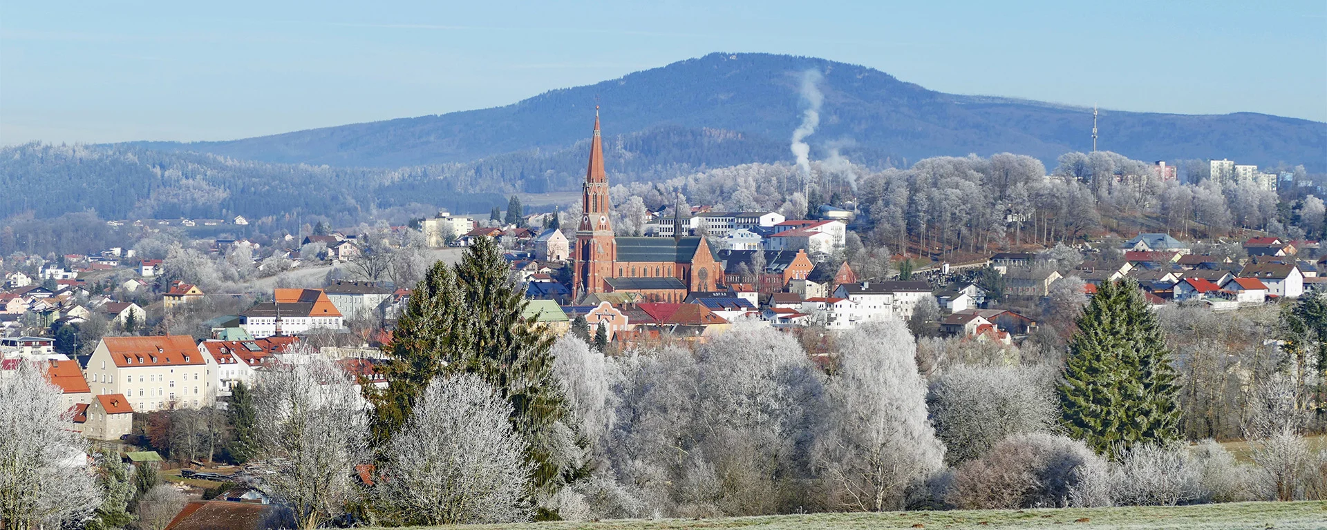 Zwiesel im Winter