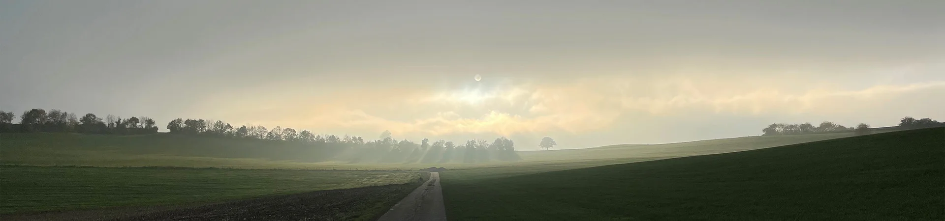 Bannerbild