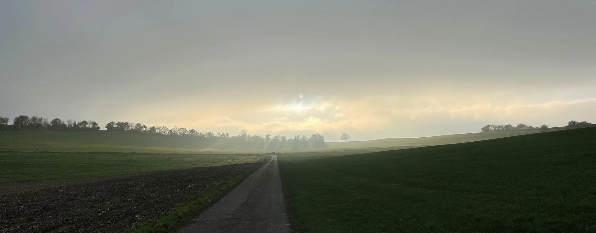 Bannerbild