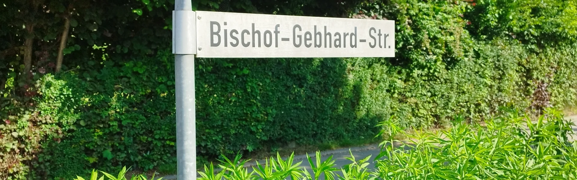 Bannerbild