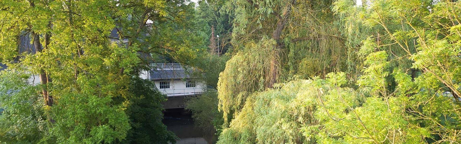 Bannerbild