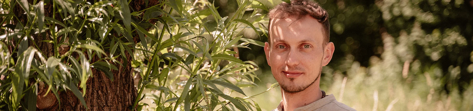 Bannerbild