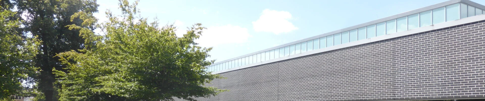 Bannerbild