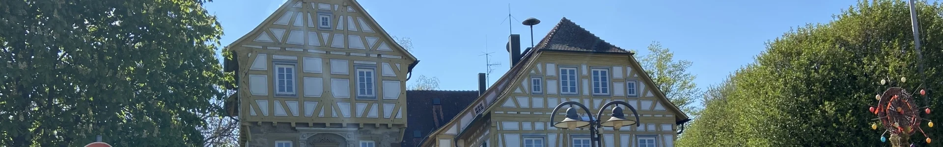 Bannerbild