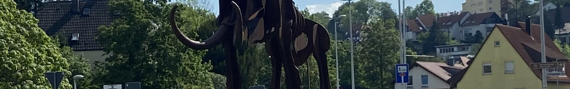 Bannerbild