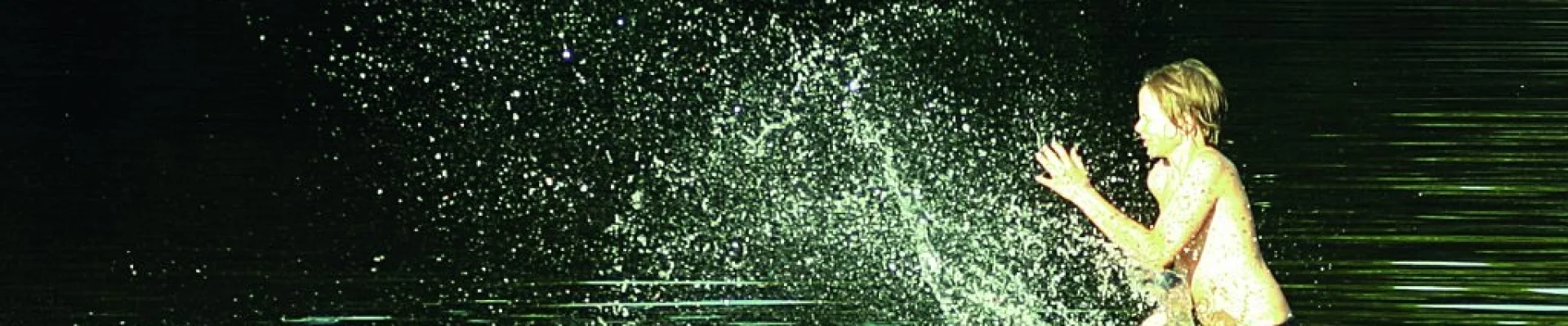 Bannerbild