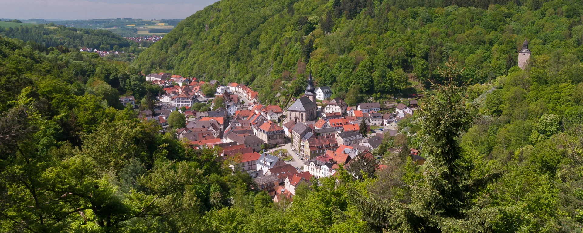Bannerbild